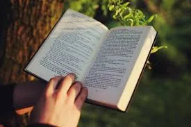 reading