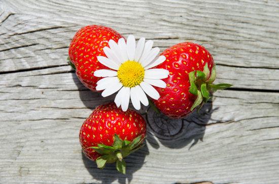 red-straberies-flower