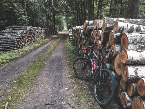 black-mountain-brown-tree-logs