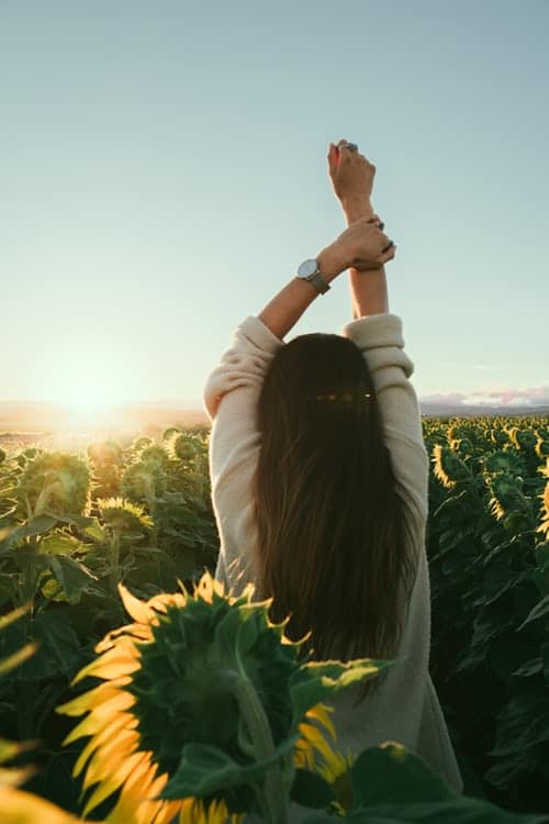 woman-surrounded-by-sunflowers