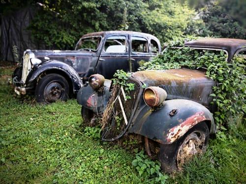 black-cars-parked-trees