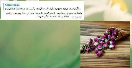 student-teacher-comment-about-salamzaban-5