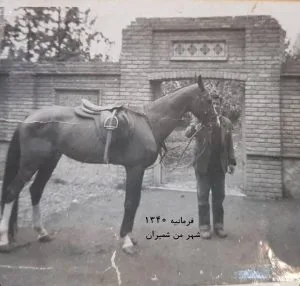 باغ سفارت ایتالیا 1340 خیابان فرمانیه مرحوم حاج بیوک آقا کاظمی نیکچه معروف به مش غفار
