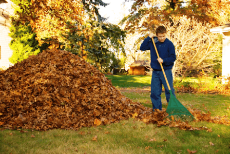 Cleaning Up Leaves-داستان کوتاه انگلیسی تمیزکردن برگها