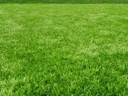 داستان کوتاه انگلیسی کار در حیاط
