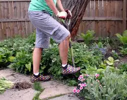 Working in my Yard
