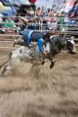 indistinct-blurry :: indistinct-blurry