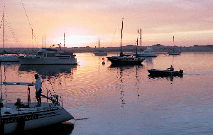 harbor