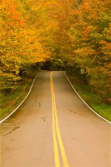 pave