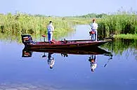 freshwater