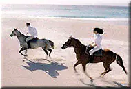horseback