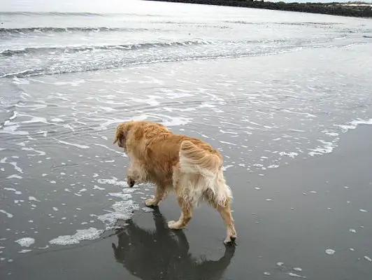 cautious