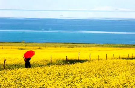 My Country-plain-autumn-داستان کوتاه انگلیسی کشور من