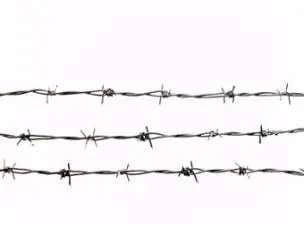 barbed-wire