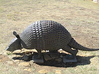 Armadillo