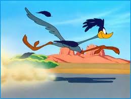 Roadrunner2