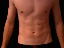 abdomen