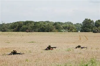 Ambush