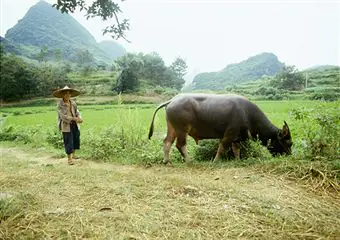 Inhabitant