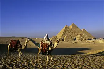 Nomadic