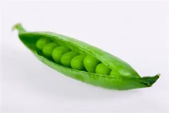pea