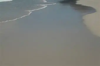 tide