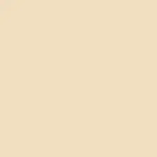 Buff-Color-paint