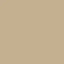 Khaki-Color-paint