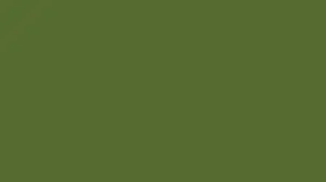Olive-Color-paint