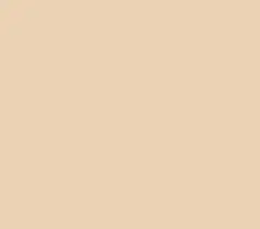 Tan-Color-paint