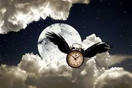 images-Night-flight-watch