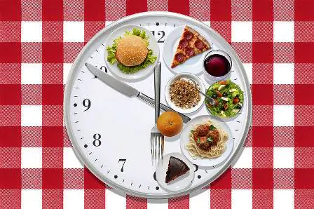 diet-health-body