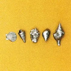 summer-tropical-shale