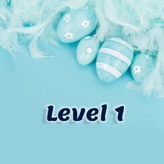 Level 1