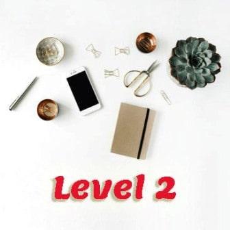 Level 2