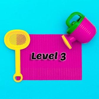 Level 3