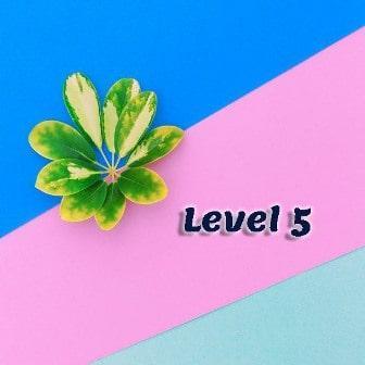 Level 5