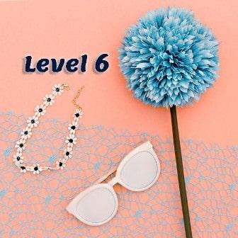 Level 6