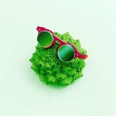 canva-cabbage-stylish-glasses-fashion
