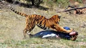 attack