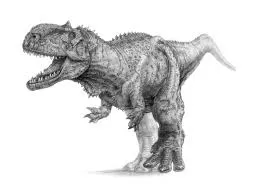 Dinosaur Drawings