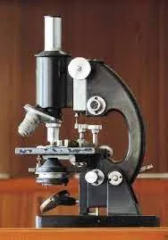 This image has an empty alt attribute; its file name is microscope-bacteria.jpg