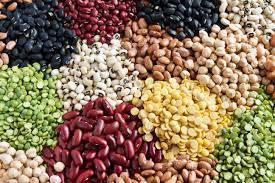 legume