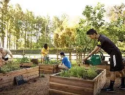 homegrown 1 made or produced in your own country, town etc: homegrown rock stars 2 homegrown vegetables and fruit are grown in your own garden