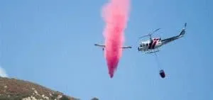 Forest fire in Southern California prompts evacuations