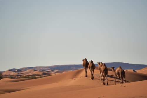 تصمیم برای عدم پرداخت