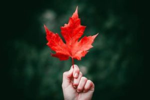 Leaf-Orange-Hand