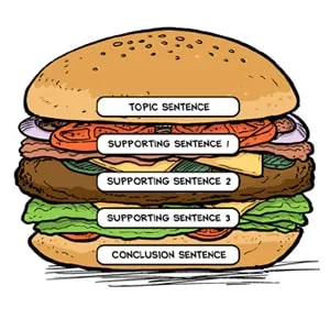 strategy_paragraph-hamburger