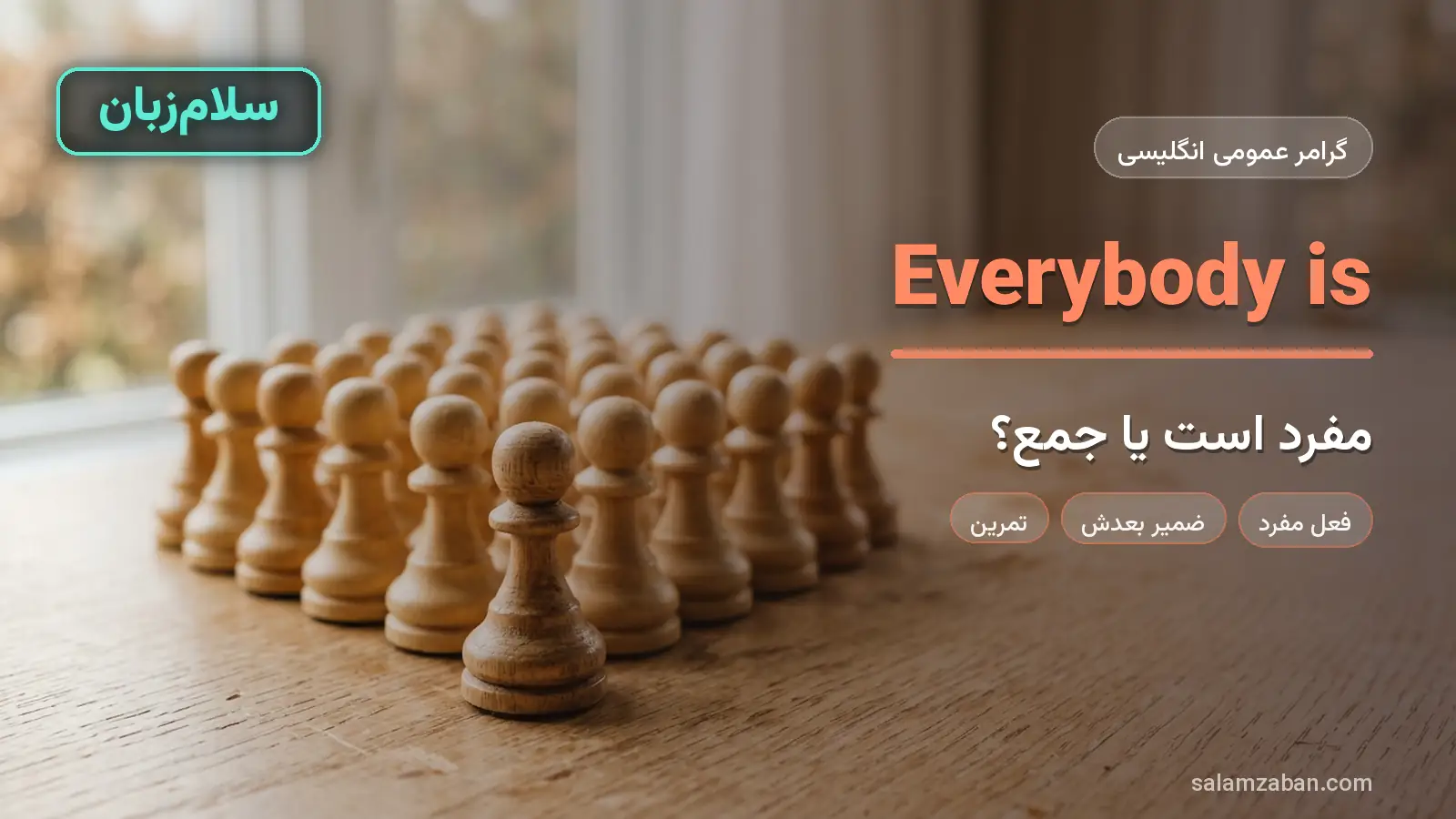 Everybody مفرد است یا جمع؟
