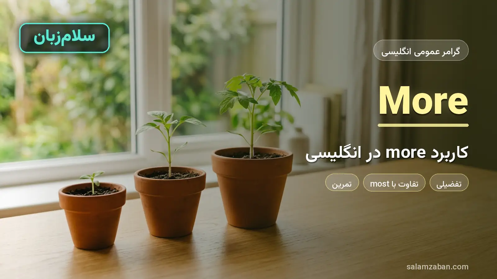 کاربرد More